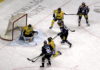 Mit Kampf zum knappen Sieg – Eisbären Berlin gewinnen 4:3 gegen Krefeld Pinguine Eisbären Berlin versus Krefeld Pinguine
