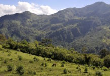 Yeni Navan – selbst verwaltete Kaffee-Produktion in Südmexiko Bergwelt