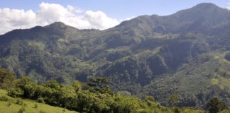 Yeni Navan – selbst verwaltete Kaffee-Produktion in Südmexiko Bergwelt