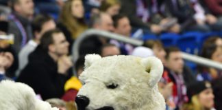 Gerry Fleming neuer Assistenztrainer der Berliner Eisbären – Die Mannschaft von Cheftrainer Clément Jodoin startet mit Doppelheimspielwochenende in die CHL Eisbären Berlin versus Krefeld Pinguine.