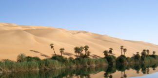 Brüssel beschließt Schwarze Liste gegen Steueroasen – Zahnloser Papiertiger der EU Oase