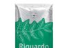 Richtig guter Kaffee mit dem Fairtrade-Gütesiegel: Riguardo – ein Blend aus dem Jura-Kaffeesortiment Riguardo