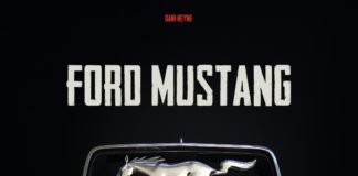 Das schnellste Pony der Welt oder der Ford Mustang – Zur Hengstparade von Dani Heyne Dani Heyne: Ford Mustang.