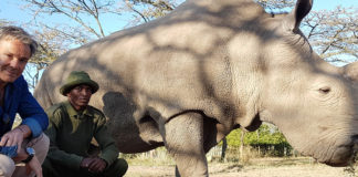 Nashörner als Ware oder ein Dokumentarfilm im ZDF – Hannes Jaenicke zwischen Angebot und Nachfrage Hannes Jaenicke im Einsatz für Nashörner.