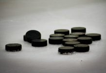 Eishockey in der BRD: Die DEL nach dem 24. Spieltag der Saison 2025/26 – Paarungen, Ergebnisse, Tabelle Pucks.