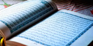 Maghrebiner, moderne, islamische Plünderer – Wehret den Fortsetzungen der Islamisierung Europas Koran.