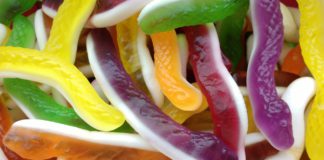 Die rote Schlangengrube oder Die Personalie Martin Schulz ist vom Tisch Schlangengrube