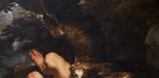 Nach Wien nun auch in Frankfurt: Rubens – was den Künstler inspirierte Ausstellungsansicht "Rubens. Kraft der Verwandlung".