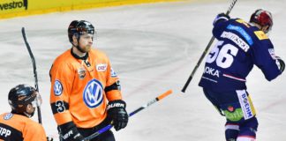 Fotoreportage: Ene, mene, miste, es rappelt in der Kiste. Ene, mene, muh und raus bist du Berliner Eisbären bezwingen im Bärenduell Wolfsburger Grizzlys.