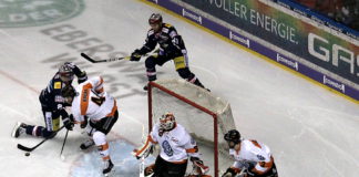 Berliner Eisbären wedelten Grizzlys Wolfsburg aus der Halle – Ein holder Heimsieg mit 8:1 Toren Eisbären Berlin gegen Grizzlys Wolfsburg.