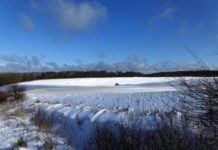 Fotoreportage: Ein Wintertraum auf Rügen Rügen ist eine deutsche Insel in der Ostsee.