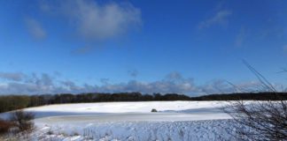 Fotoreportage: Ein Wintertraum auf Rügen Rügen ist eine deutsche Insel in der Ostsee.