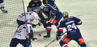 Die Bären und die Bullen oder Rekordmeister gegen alten und amtierenden Meister – Das Traumfinale der DEL steht vor der Tür Eisbären gegen Red Bull München.