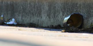 Singende Hohlköpfe und gelebte Gosse – Farid Bang und Kollegah oder Ehre, wem sie nicht gebührt Die Gosse.