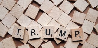 Trumps Hirnzellen-Mangel-Syndrom – Die Reise der Angela Merkel nach Washington oder Mit Zitronen gehandelt Trump.