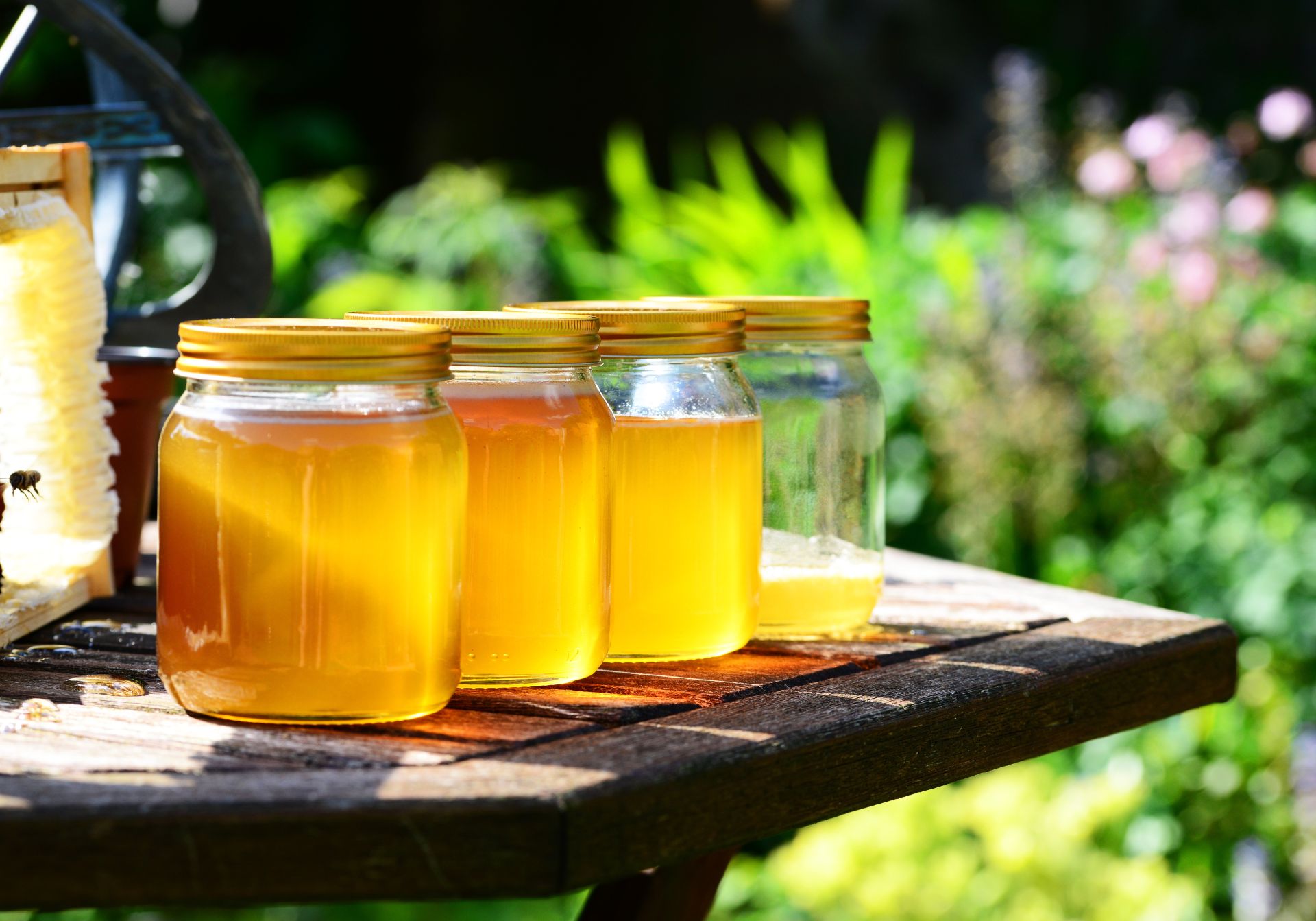 Honig, fest und flüssig - Slowenische Botschaft lud zum Honig-Frühstück ein