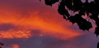 Fotoreportage: Der Yala Nationalpark von Sri Lanka Sri Lanka