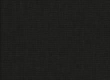 Vorwärts immer! – Annotation zu Band 13 der Tagebücher von Erich Mühsam, herausgegeben von Chris Hirte und Conrad Piens Erich Mühsam. Tagebühcer. Band 13, 1923.