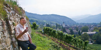 Das Weingut Fritz Waßmer im Markgräflerland und seine Weine Fritz Waßmer vom Weingut Fritz Waßmer im Markgräflerland.