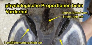 Ist Heilungsschmerz eine Contradictio in adjecto? – WELTEXPRESS im Gespräch mit Patrick Spieleder