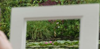 Fotoreportage: Rund um den Seerosenteich von Claude Monet in Giverny Flusskreuzfahrt auf der Seine in Frankreich.