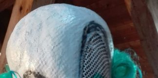 Geiz ist geil? – Der Theatersommer Netzeband zeigt »Der Geizige» von Molière Der Geizige.