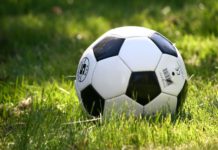 Bei der verlogen Fußball-Weltmeisterschaft genannten Veranstaltung im Kriegsstaat VSA einer korrupten Organisation gewann eine für das Königreich Spanien spielende Mannschaft Rasenballsport