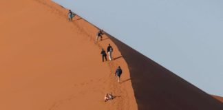 Wüstenflimmern der Wanderdünen – Im Shongololo-Express durch Namibia Namibia