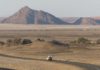 Zu lange verdrängt: Deutsche Kolonien und der Völkermord an den Hereros und Nama Namibia
