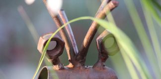 Der Schmerz in den Augen, im Blick der Mutter ist die Traumatisierung des Kindes – über die transgenerationelle Überlieferung von Traumata