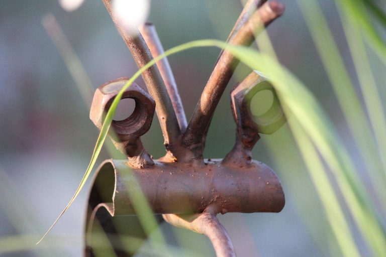 Der Schmerz in den Augen, im Blick der Mutter ist die Traumatisierung des Kindes – über die transgenerationelle Überlieferung von Traumata