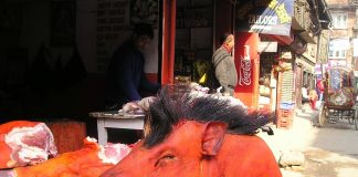 Sich abstechen lassen im Kulturkampf oder aufstehen? Ein Schweinekopf und andere Teile eines Schweines.