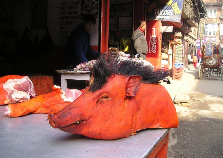 Ein Schweinekopf und andere Teile eines Schweines.