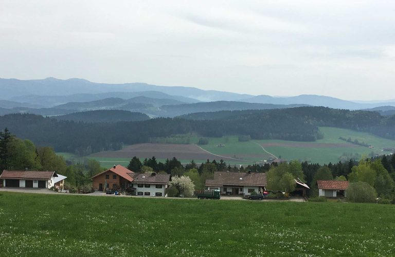 Wellness-Oase Bayerischer Wald – Wie sich der Tourismus im ehemaligen Zonenrandgebiet entwickelte