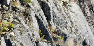Wandern auf dem Wasser: mit einem Kajak! – Zum Lehrbuch „Das Kajak“ von Jürgen Gerlach "Der Kajak" ist das Lehrbuch für den Kanusport von Jürgen Gerlach.
