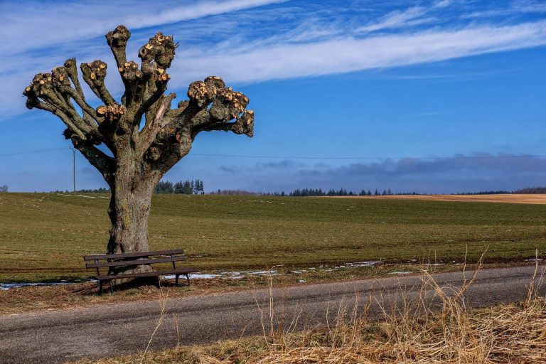Weiter hohe Sekundärmigration oder Wandern bis in die Bundesrepublik Deutschland weiterhin beliebt