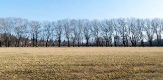 Ausländer soll Frau in Fürth vergewaltigt haben Fürth