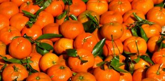 Südkorea fliegt tonnenweise Vitaminbomben nach Nordkorea oder auf Pilze folgen Mandarinen Mandarinen.