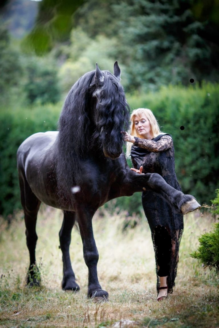 „Warum Pferdesport nicht tierschutzrelevant ist“ – Die Tierärztin Dr. Kirsten Tönnies im WELTEXPRESS-Exklusivinterview