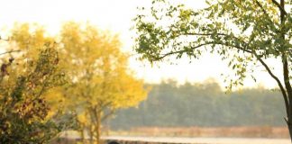 „Was schenke ich meinem Pferd zu Weihnachten? – Die Freiheit!“ – Eine Empfehlung von Maksida Vogt Maksida Vogt mit ihrer Stute Donna.