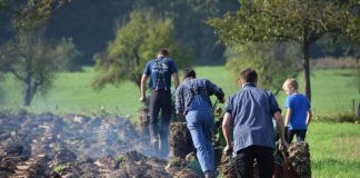 Arbeitsunentschieden auf einem Acker bei Magdeburg – 1:1 zwischen dem 1. FC Magdeburg und dem 1. FC Union Berlin Ein Acker.