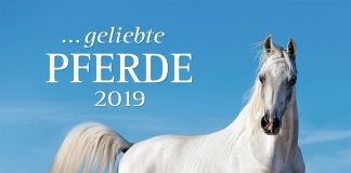 Wie gemalt? – Zum 2019er Wandkalender „geliebte Pferde“ mit Bildern von Christiane Slawik, der Malerin unter den Pferdefotografen ... geliebte Pferde 2019