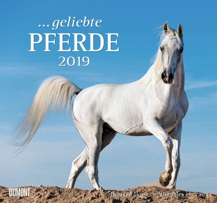 ... geliebte Pferde 2019
