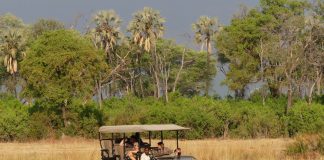 Fotoreportage: Auf Safari am Flusssystem des Sambesi und des Okavango