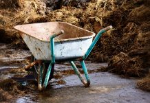 Die Düngemittelkrise wird zugespitzt – Naturdünger wie Mist wird für die industrielle Landwirtschaft nicht reichen