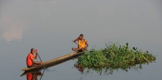 Tote an der Ebola- und Rebellenfront sowie Wahlbetrug im Kongo