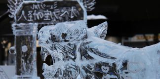 Eisbären wie die Pussies – Ice Tigers gewinnen die Ladies Night in Nürnberg mit 6:4