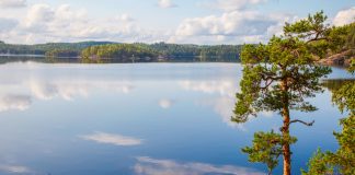 Karelische Piroggen und wilder Flammlachs – Essen und Trinken wie in Finnland während der Grünen Woche in Berlin