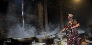 Tarnen, Tricksen, Täuschen oder Lob und Lohn allem Lug und Trug zum Trotz – eine Glosse