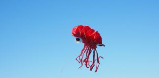 Eine Krake und ein Dutzend Tore oder wild mit Wundertüte Werder im Ex-Westfalenstadion – Bremen besiegt Borussia vor über 80.000 Zuschauern in Dortmund